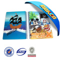 Wholesale Plastic Cover Lenticular 3D Notebook